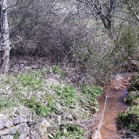 بيت ضيافة Hermes 3*